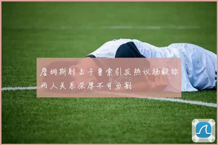 詹姆斯肘击卡鲁索引发热议杨毅称两人关系深厚不可分割